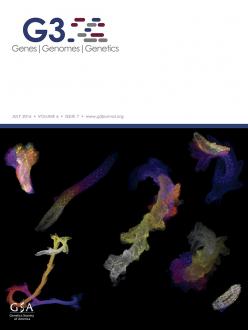 Cover of G3: GENES, GENOMES, GENETICS, featuring study using the protocol.