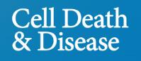Cover of Cell Death & Disease, featuring study using the protocol.
