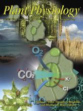 Cover of Plant Physiology, featuring study using the protocol.