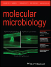 Cover of Molecular Microbiology, featuring study using the protocol.