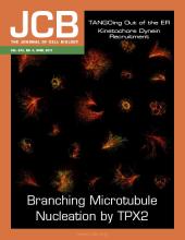 Cover of The Journal of Cell Biology, featuring study using the protocol.