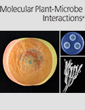 Cover of Molecular Plant Microbe Interactions, featuring study using the protocol.