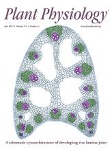 Cover of Plant Physiology, featuring study using the protocol.