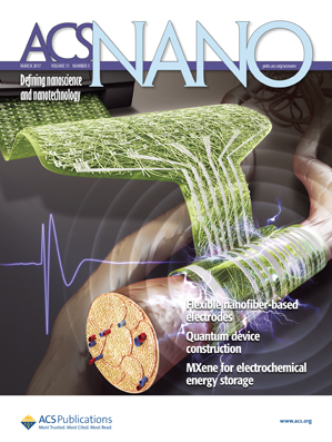 Cover of ACS Nano, featuring study using the protocol.