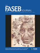 Cover of The FASEB Journal, featuring study using the protocol.