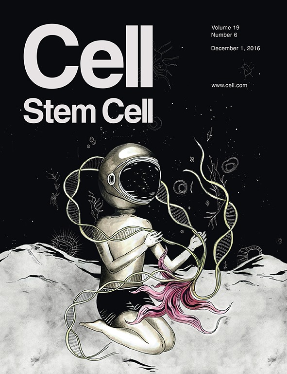 Cover of Cell Stem Cell, featuring study using the protocol.