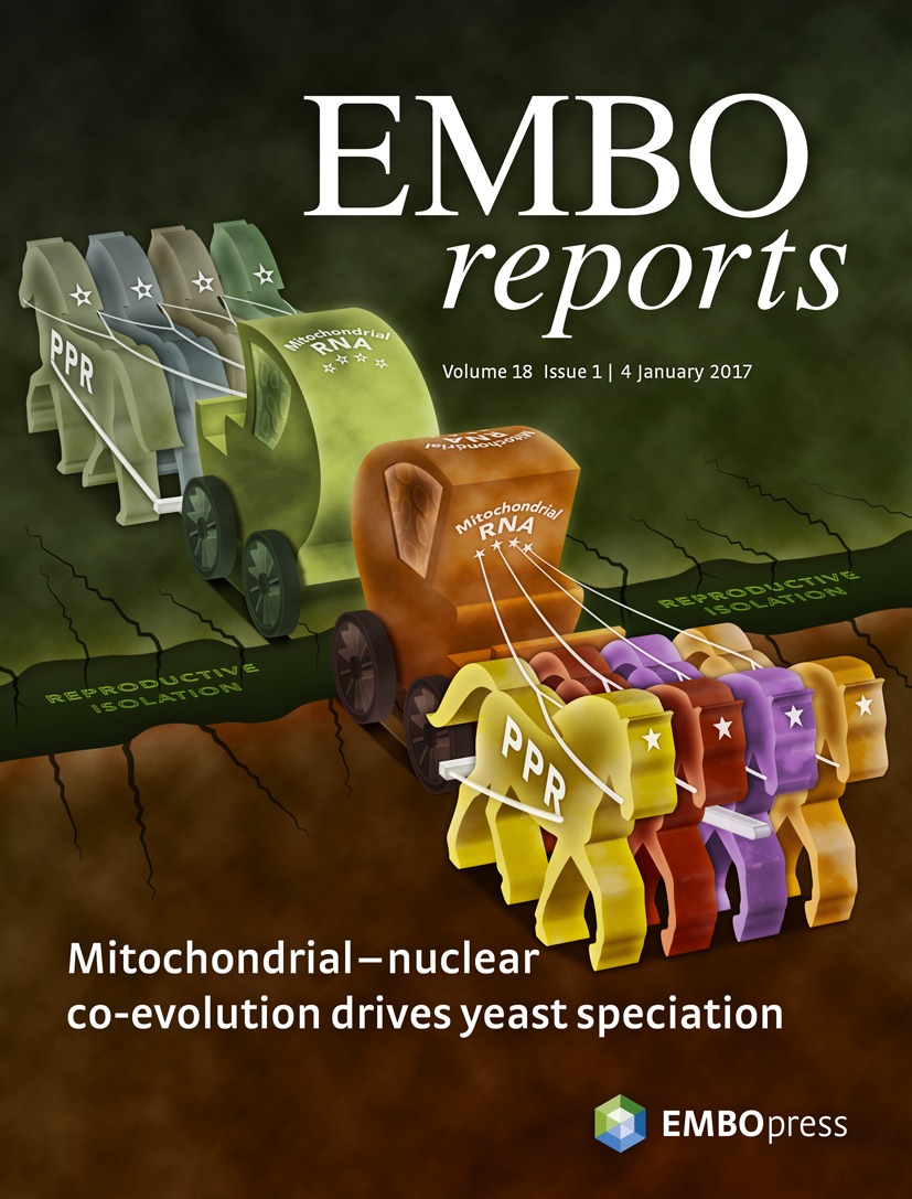 Cover of EMBO Reports, featuring study using the protocol.