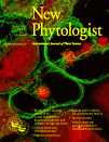 Cover of New Phytologist, featuring study using the protocol.