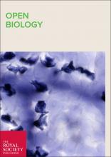 Cover of Open Biology, featuring study using the protocol.