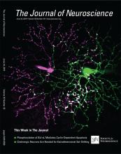 Cover of The Journal of Neuroscience, featuring study using the protocol.
