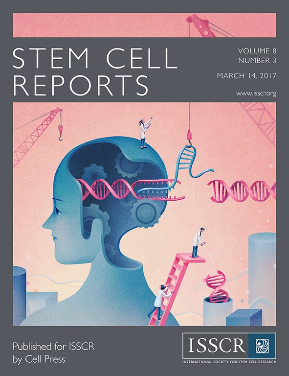 Cover of Stem Cell Reports, featuring study using the protocol.