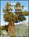 Cover of New Phytologist, featuring study using the protocol.