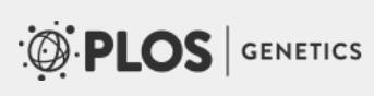 Cover of PLOS Genetics, featuring study using the protocol.