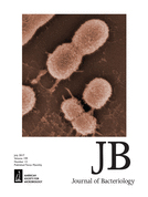 Cover of Journal of Bacteriology, featuring study using the protocol.