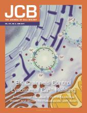 Cover of The Journal of Cell Biology, featuring study using the protocol.