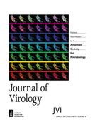 Cover of Journal of Virology, featuring study using the protocol.