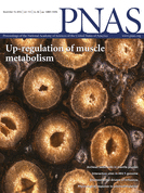Cover of Proceedings of the National Academy of Sciences of the United States of America, featuring study using the protocol.