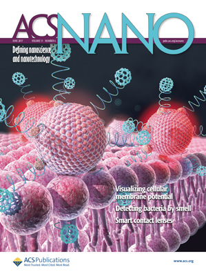 Cover of ACS Nano, featuring study using the protocol.