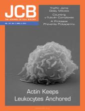 Cover of The Journal of Cell Biology, featuring study using the protocol.