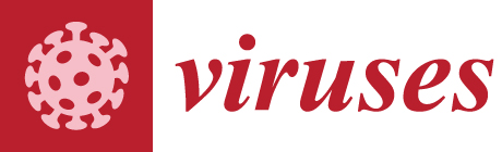Cover of Viruses, featuring study using the protocol.