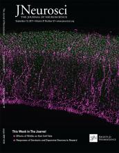Cover of The Journal of Neuroscience, featuring study using the protocol.