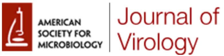 Cover of Journal of Virology, featuring study using the protocol.