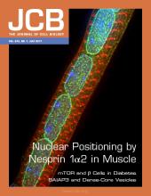Cover of The Journal of Cell Biology, featuring study using the protocol.