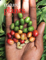 Cover of Nature Plants, featuring study using the protocol.