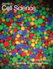 Cover of Journal of Cell Science, featuring study using the protocol.