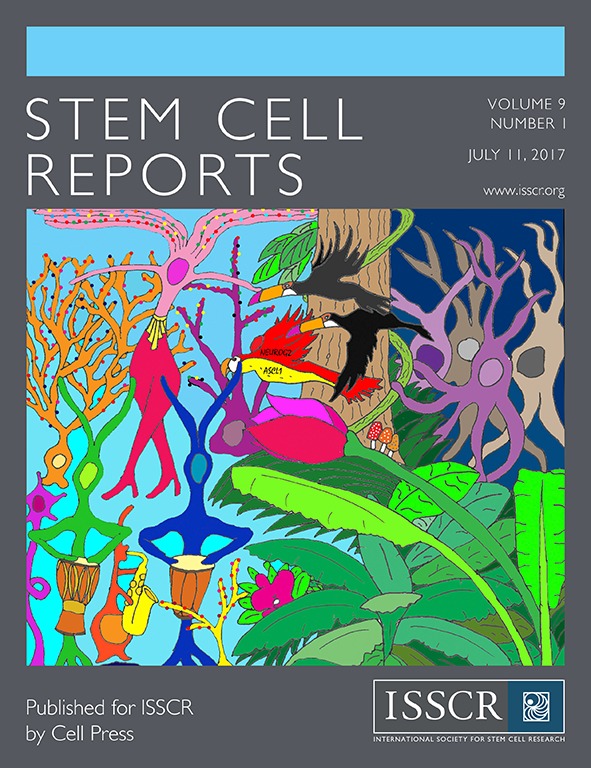 Cover of Stem Cell Reports, featuring study using the protocol.