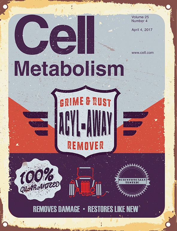 Cover of Cell Metabolism, featuring study using the protocol.