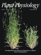 Cover of Plant Physiology, featuring study using the protocol.