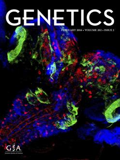 Cover of Genetics, featuring study using the protocol.