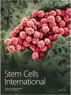 Cover of Stem Cells International, featuring study using the protocol.