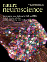 Cover of Nature Neuroscience, featuring study using the protocol.