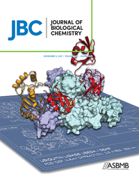 Cover of The Journal of Biological Chemistry, featuring study using the protocol.