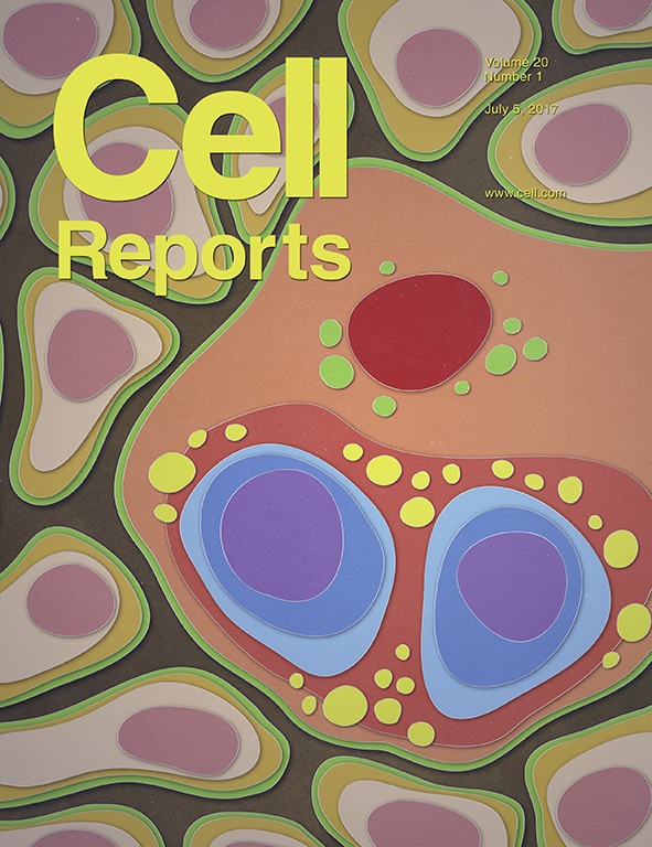 Cover of Cell Reports, featuring study using the protocol.