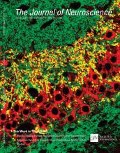 Cover of The Journal of Neuroscience, featuring study using the protocol.