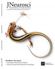 Cover of The Journal of Neuroscience, featuring study using the protocol.