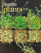 Cover of Nature Plants, featuring study using the protocol.