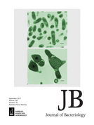 Cover of Journal of Bacteriology, featuring study using the protocol.