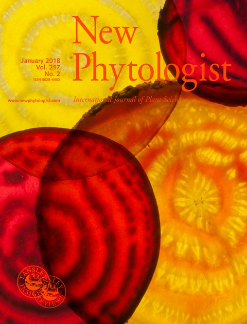 Cover of New Phytologist, featuring study using the protocol.