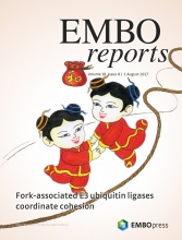 Cover of EMBO Reports, featuring study using the protocol.