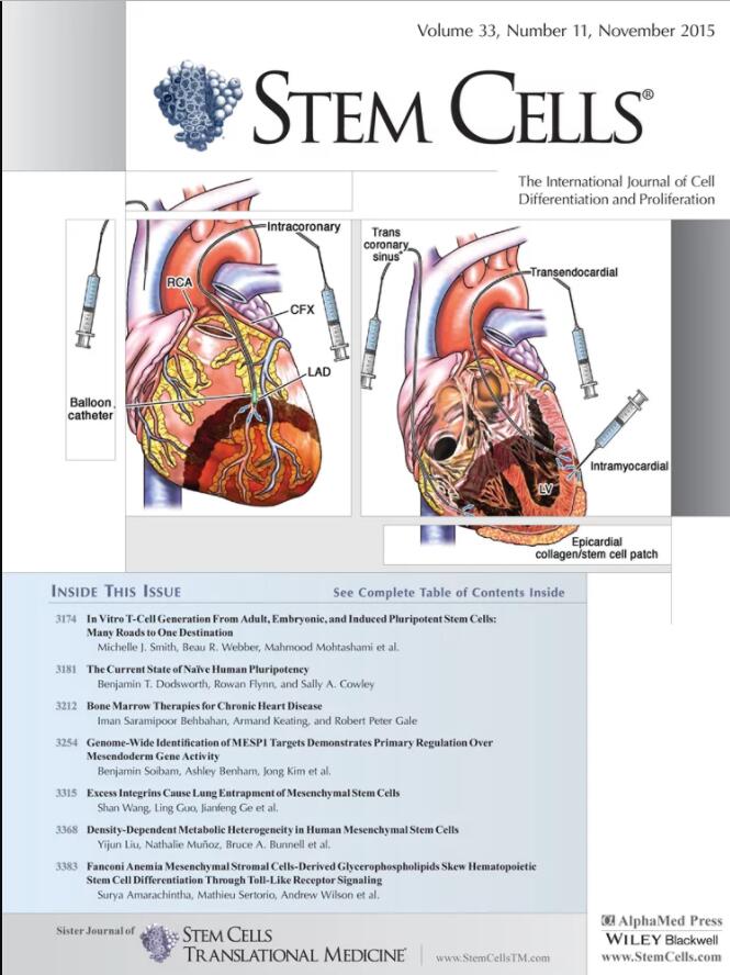 Cover of Stem Cells, featuring study using the protocol.