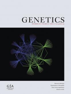 Cover of Genetics, featuring study using the protocol.