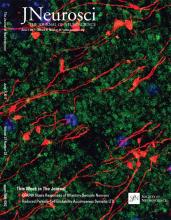 Cover of The Journal of Neuroscience, featuring study using the protocol.