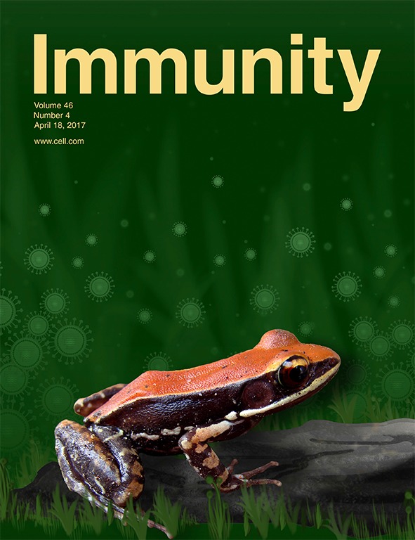 Cover of Immunity, featuring study using the protocol.