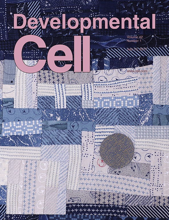 Cover of Developmental Cell, featuring study using the protocol.