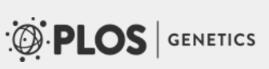 Cover of PLOS Genetics, featuring study using the protocol.