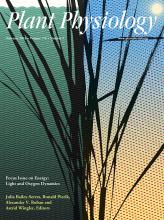 Cover of Plant Physiology, featuring study using the protocol.